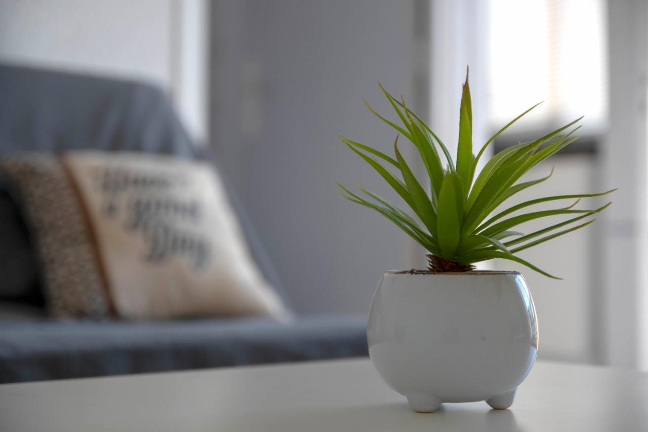 Studio Terrasse Montpellier - Parking Prive - Proche Ligne 1 Ngoại thất bức ảnh